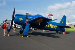 Beautiful Bearcat in Blue Angels colours